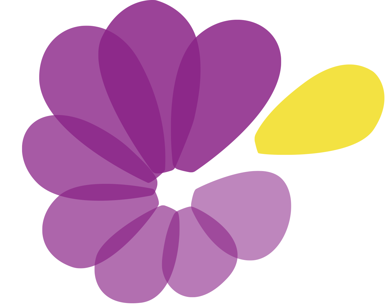 wadaCrush logo